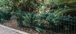 Belgo Jardim® - Imagem 2