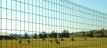 Belgo Fortinet® - Imagem 2